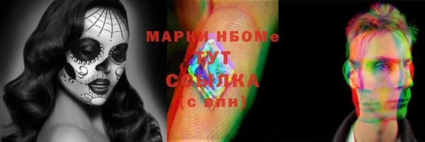 СК Волоколамск