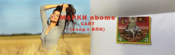 СК Волоколамск