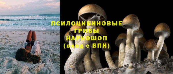 СК Волоколамск